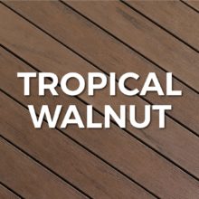 Tropical Walnut